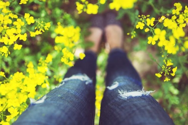 Klimy net Na klimu myslite uz na jar